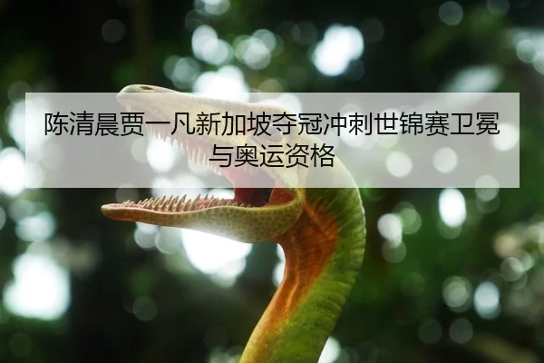 陈清晨贾一凡新加坡夺冠冲刺世锦赛卫冕与奥运资格